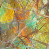 “Aquatic Dance” - Square