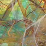 “Aquatic Dance” Landscape