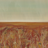 "After The Rain" Landscape