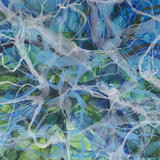 “Tidal Memory"  Square