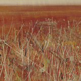 "After The Rain" Landscape