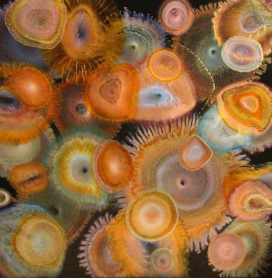 Aquatic Life 1575mm x 1575mm (Framed)
